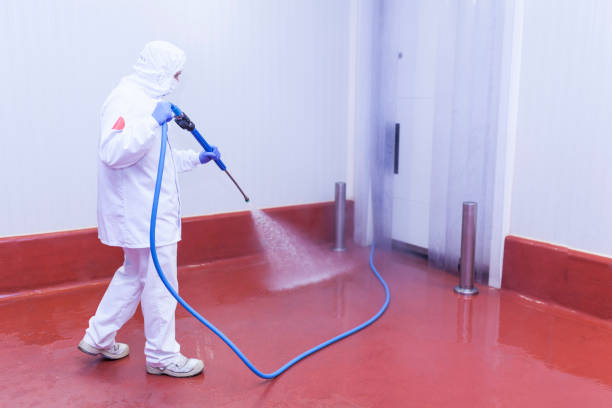 Spring Cleaning in East Merrimack, NH